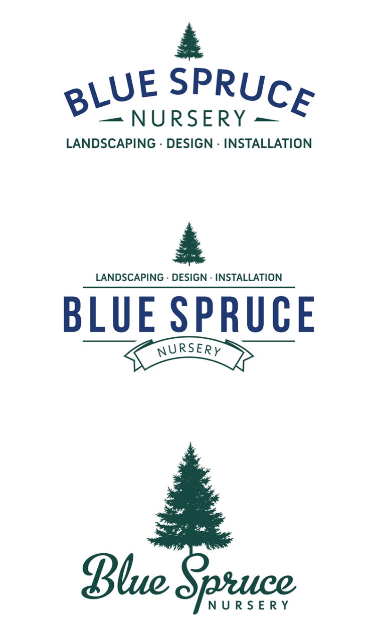 Sample logo designs for Blue Spruce Nursery